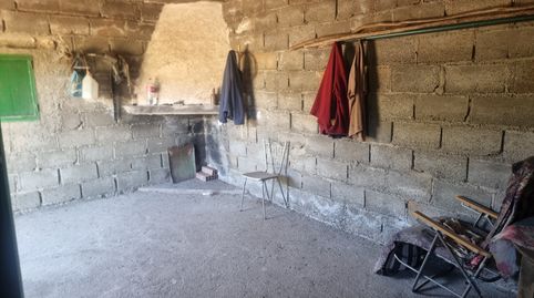 FINCA CON OLIVOS Y ALMENDROS EN ABRUCENA, immagine 5