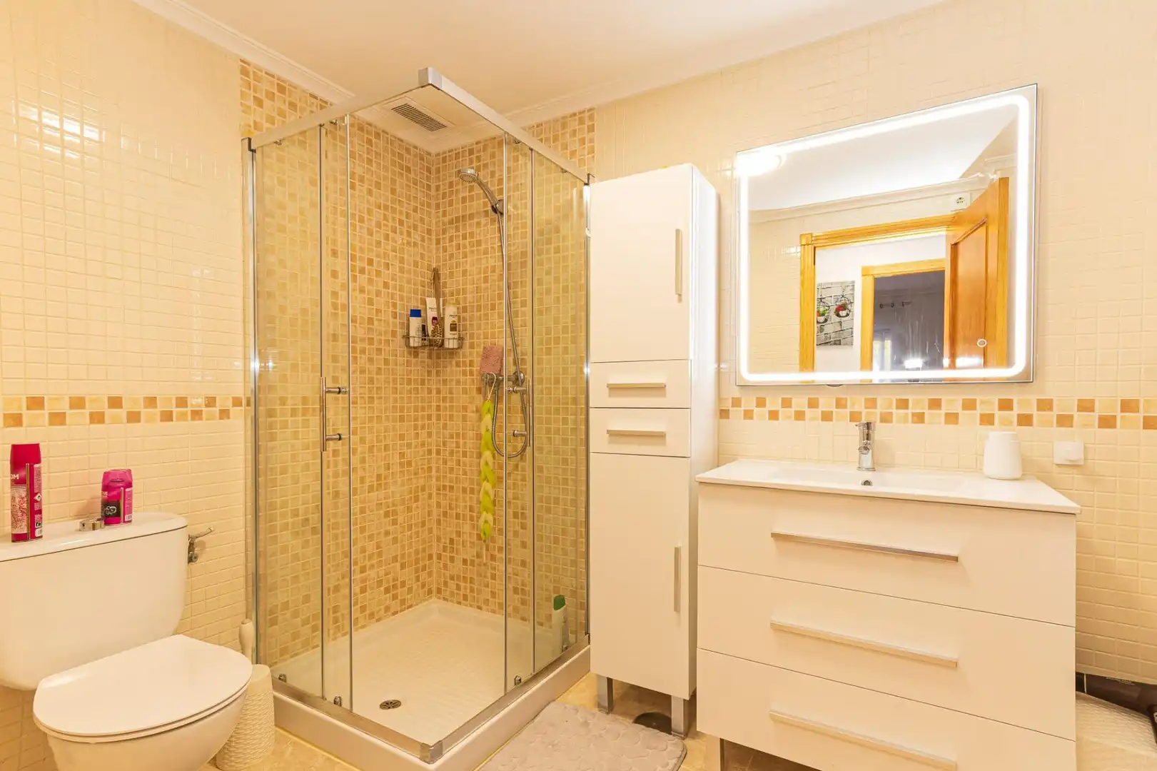 Apartament amb terrassa en venda a J-1 P FLAMENCA NORTE, imagen 13