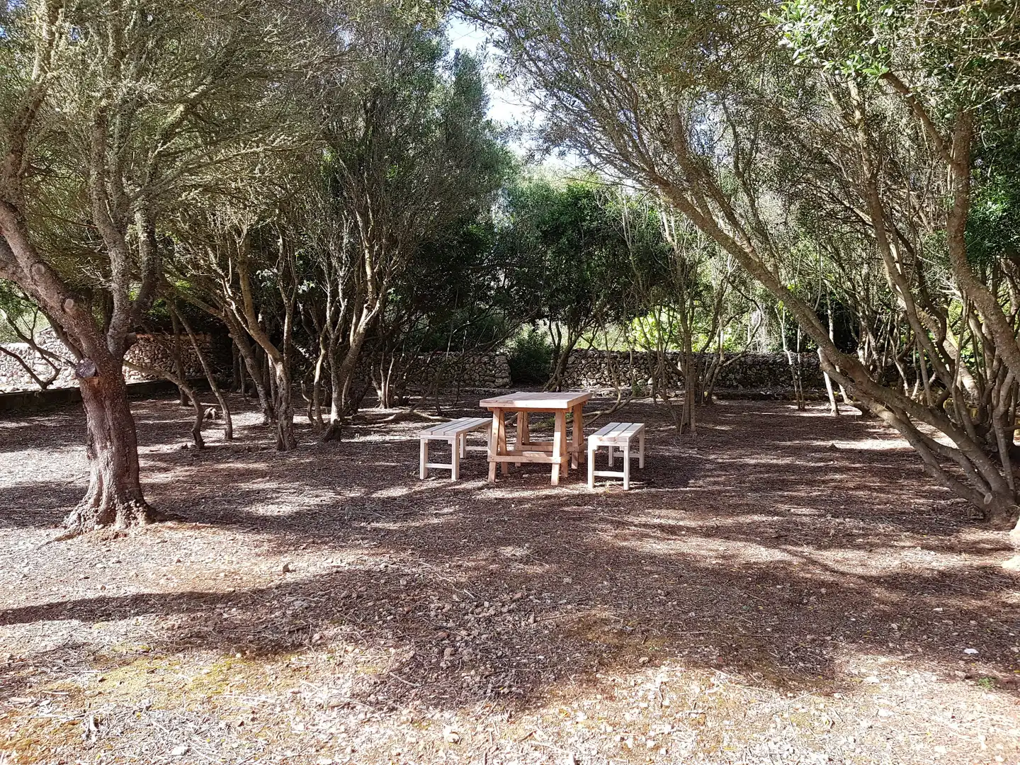 Jardí de Finca rústica en venda en Maó - Mahón amb Aire condicionat, Calefacció i Jardí privat