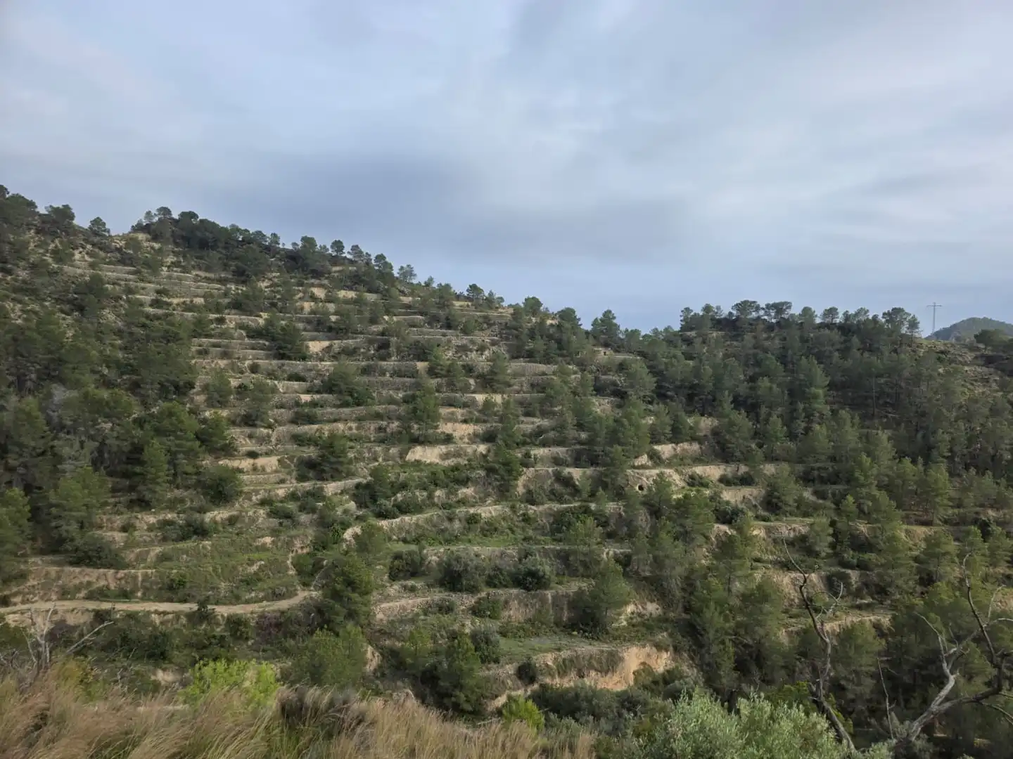 Terreno en venta en Sella