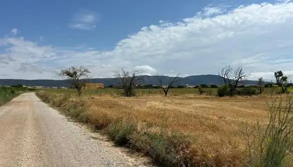 Rural land for sale in Polígono  Saratsua  polígono, imagen 21