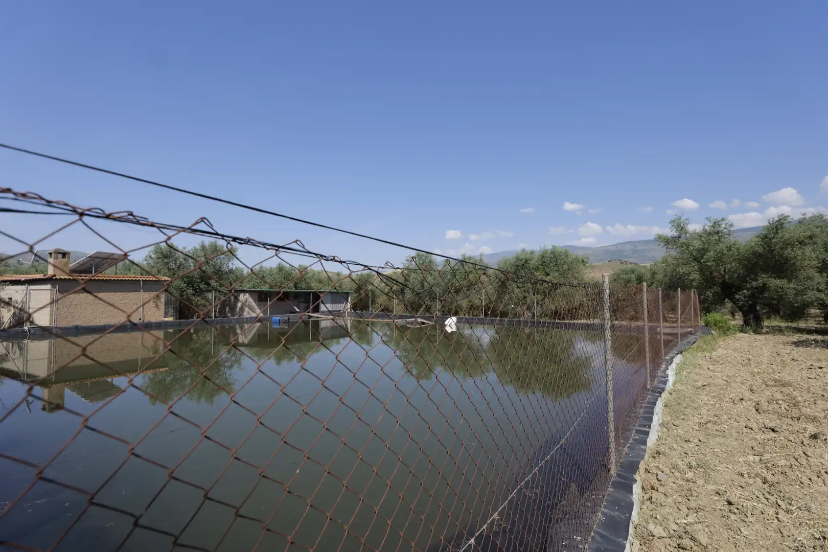 Swimming pool of Country homes for sale in Ugíjar