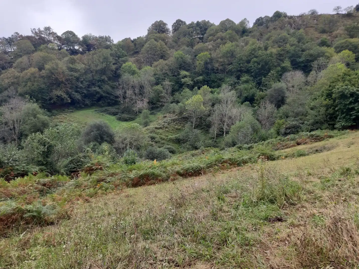 House with garden for sale in Cangas de Onís, imagen 13