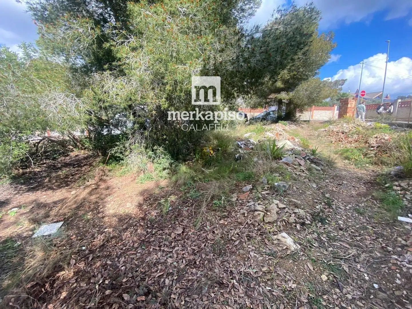Terreny rústic en venda a Valldemar - Montmar, imagen 7