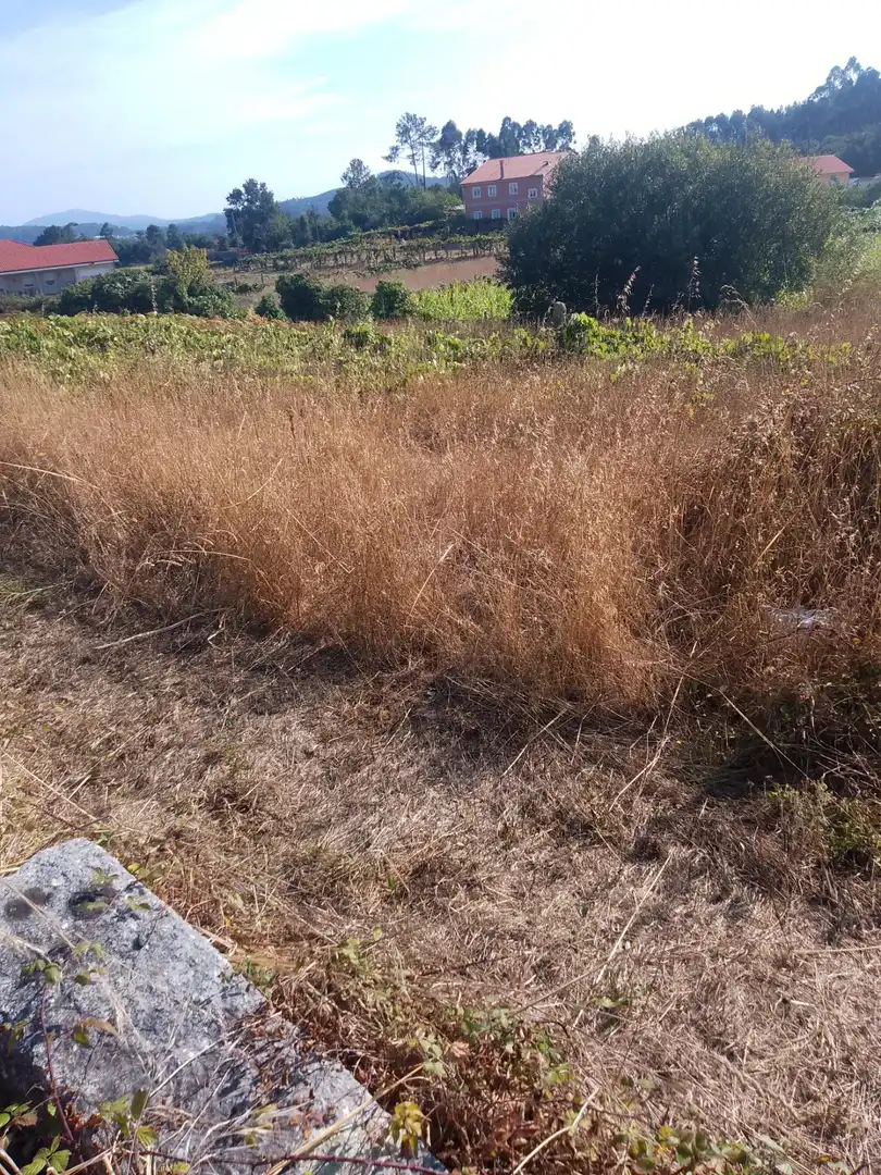 Residential for sale in Meis