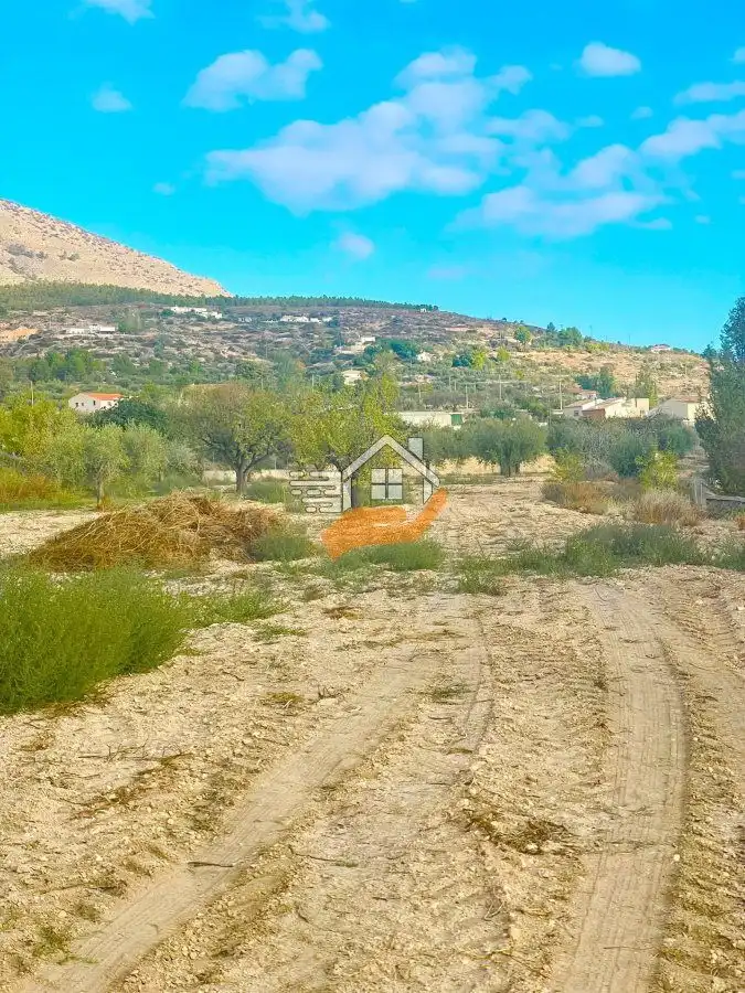 Terrenos y solares en venta en Vélez-Blanco, imagen 3