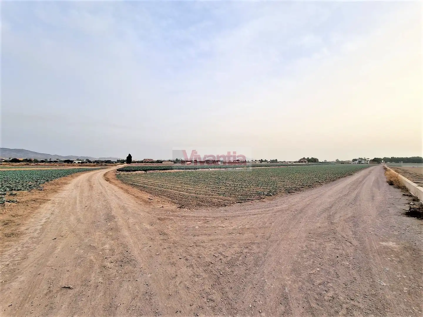Residential land for sale in Pedanías Centro, imagen 2