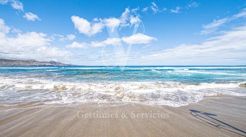 Foto 2 de Estudi de lloguer a Paseo las Canteras, Santa Catalina - Canteras, Las Palmas