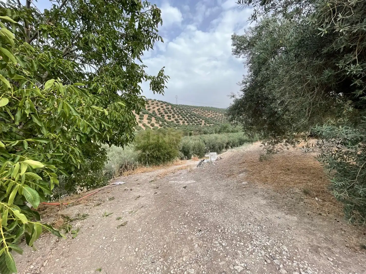 Rustikales Grundstück zum Verkauf in 18260 Íllora, Spain, imagen 12