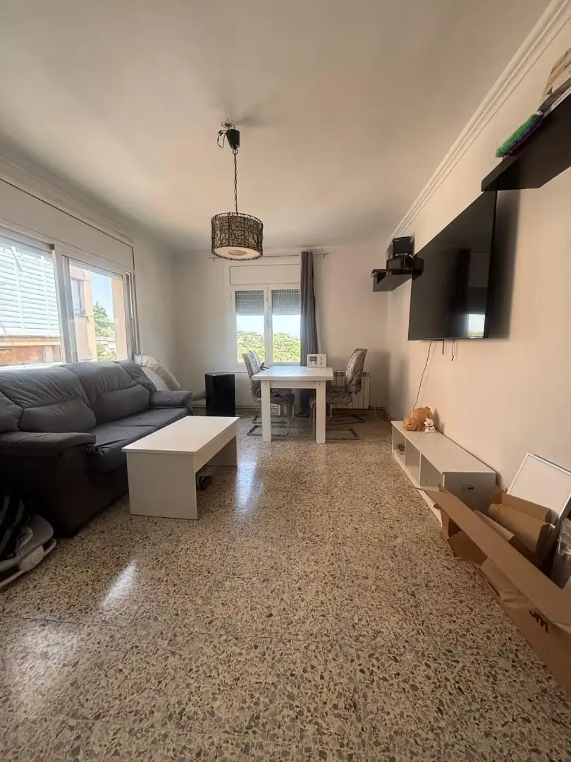 Sala d'estar de Pis en venda en Capellades amb Calefacció i Balcó