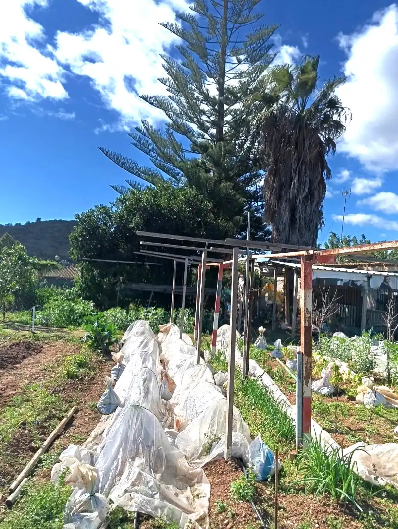 Jardín de Casa o chalet en venta en Llombai con Aire acondicionado, Calefacción y Jardín privado