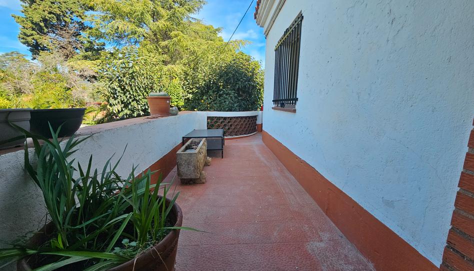 Photo 1 of Flat to rent in Pla de Bon Aire, Barcelona