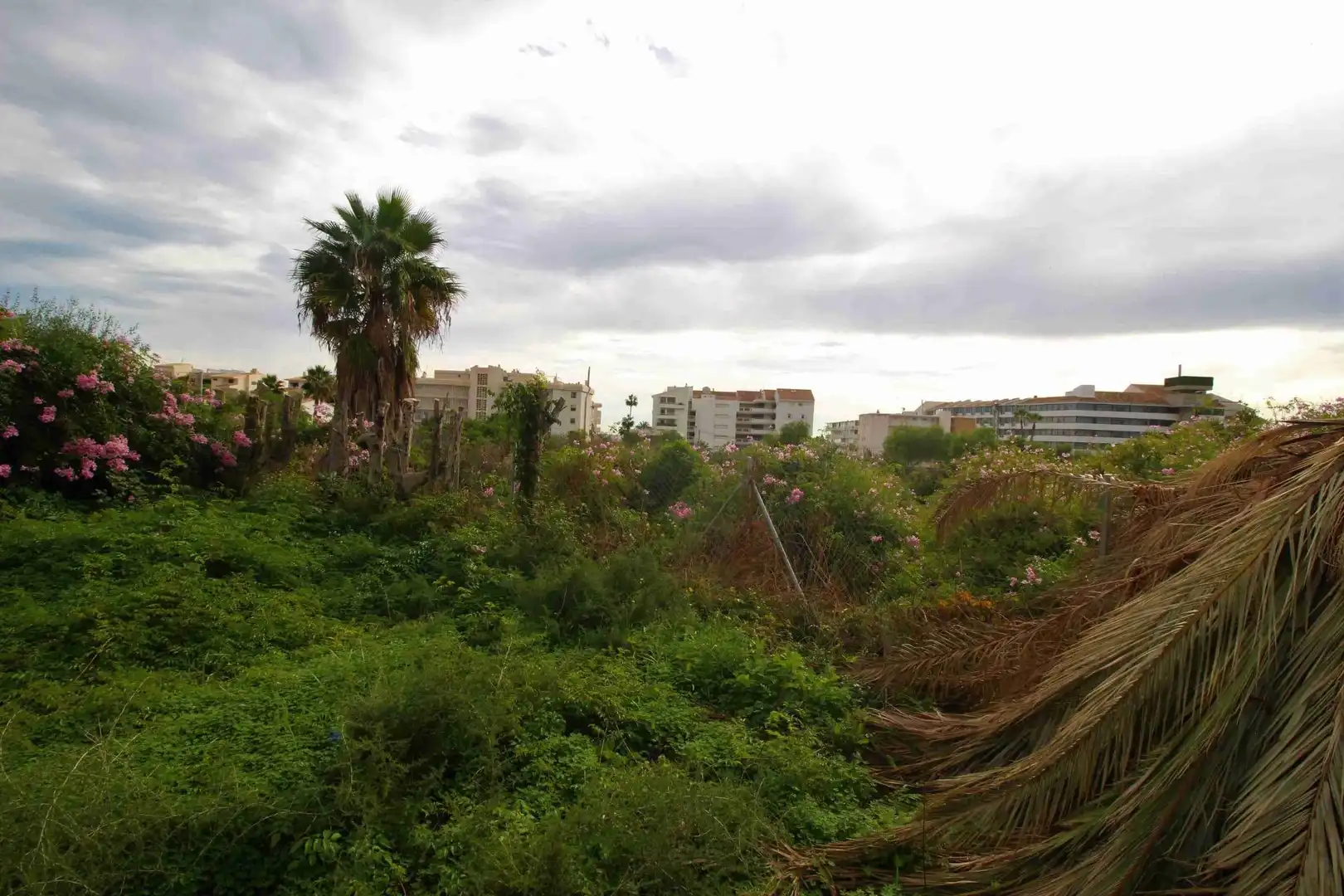 Terreny rústic en venda a L'Olla, imagen 28