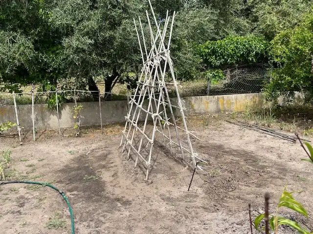 Terreni e lotti in vendita a Zafra, imagen 17