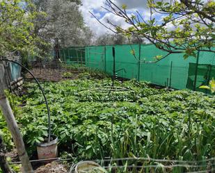 Jardí de Casa o xalet en venda en Lucena
