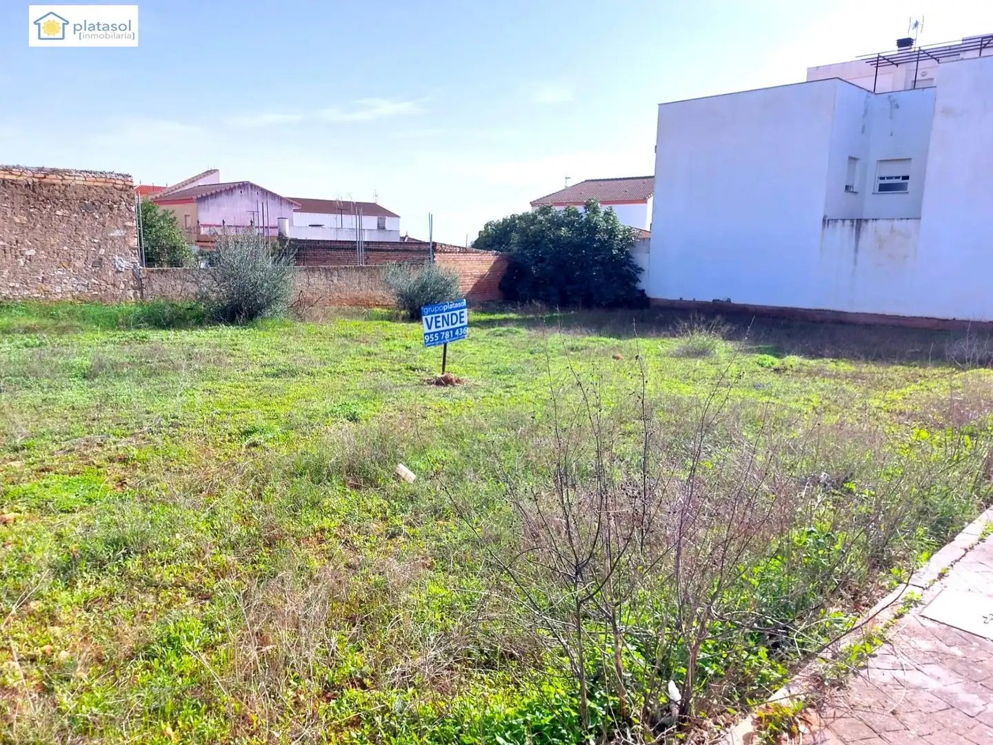 Terreni e lotti in vendita a ALEGRIAS, imagen 4