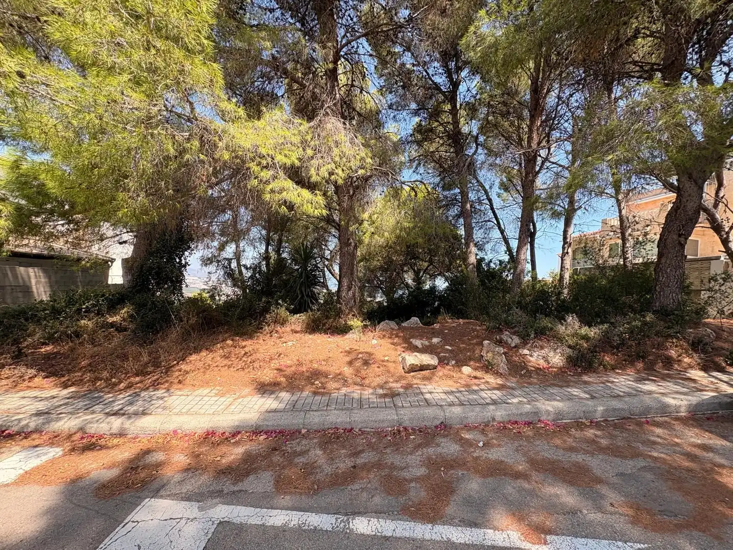 Terreny residencial en venda a La Font d'en Carròs