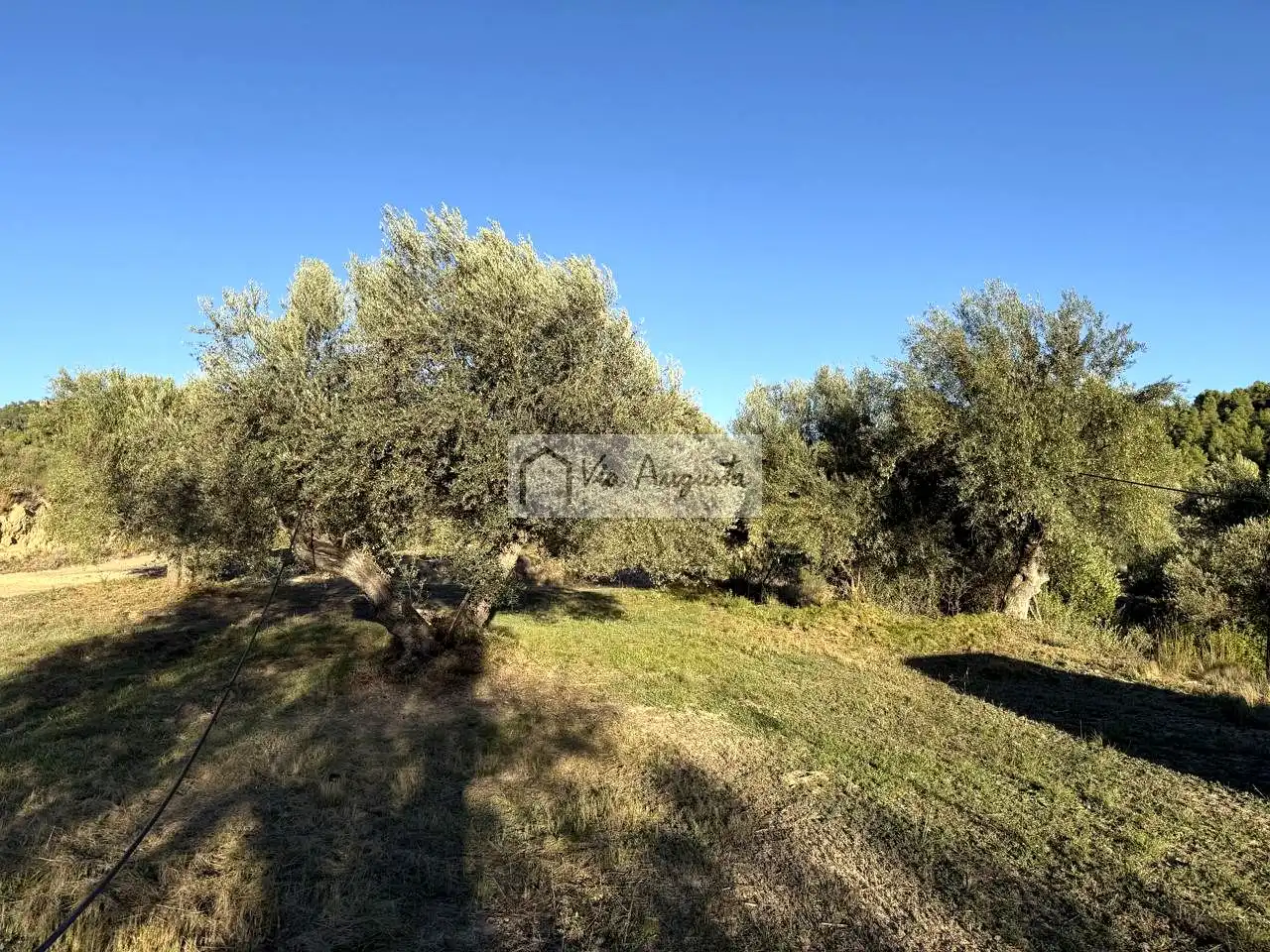 Terreno en venta en Vinebre