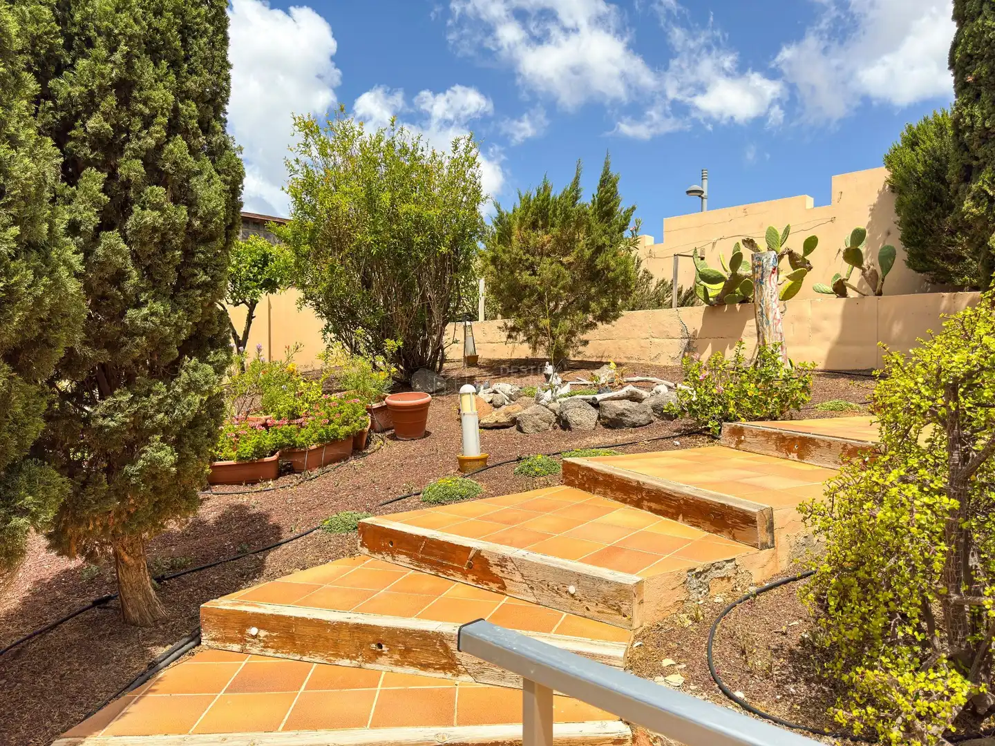 Jardí de Casa o xalet en venda en Pájara amb Jardí privat i Moblat