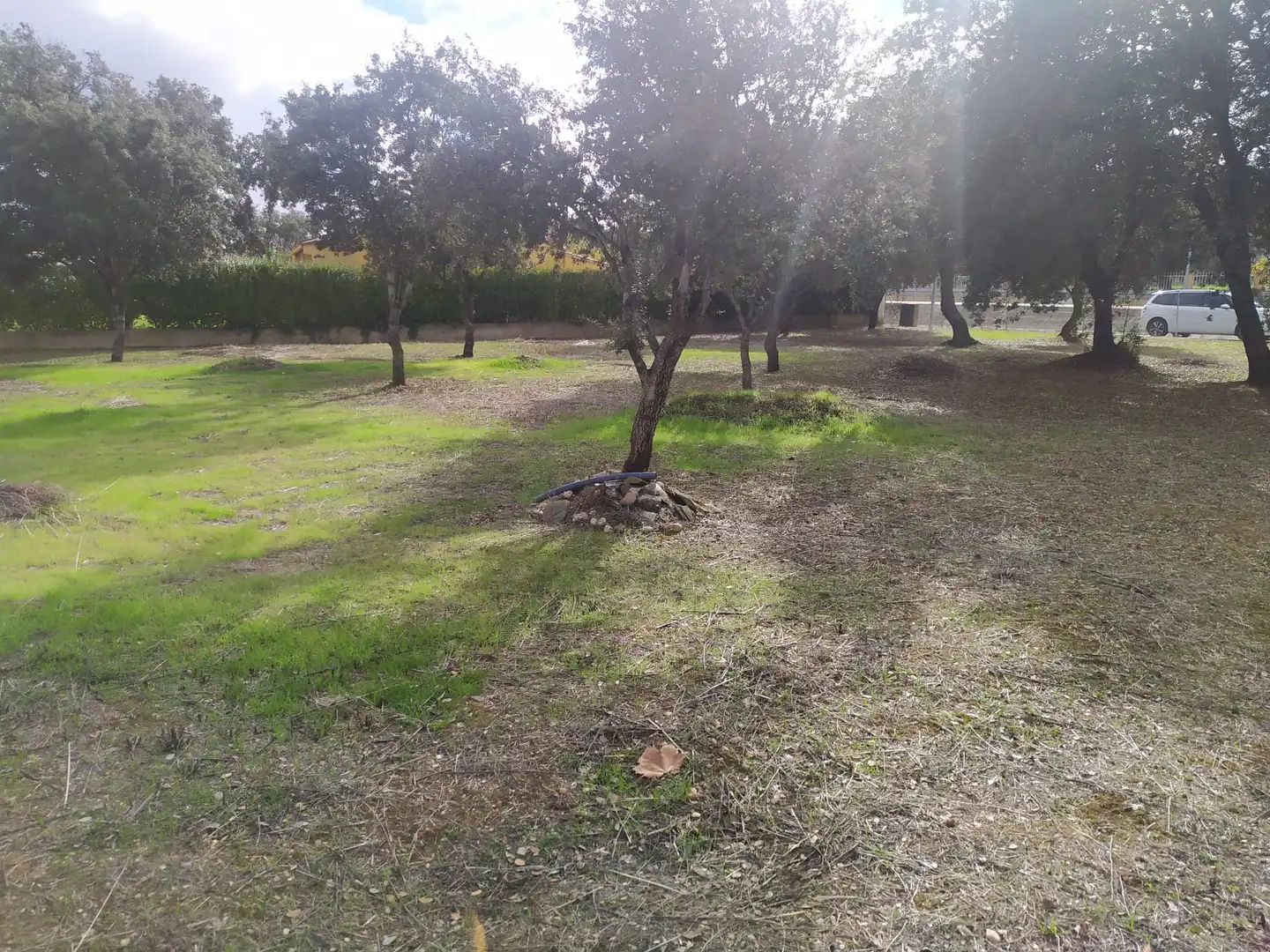 Terreny residencial en venda a Florida de Liébana, imagen 5