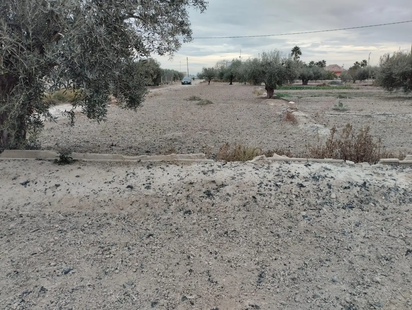 Land for sale in Lorca