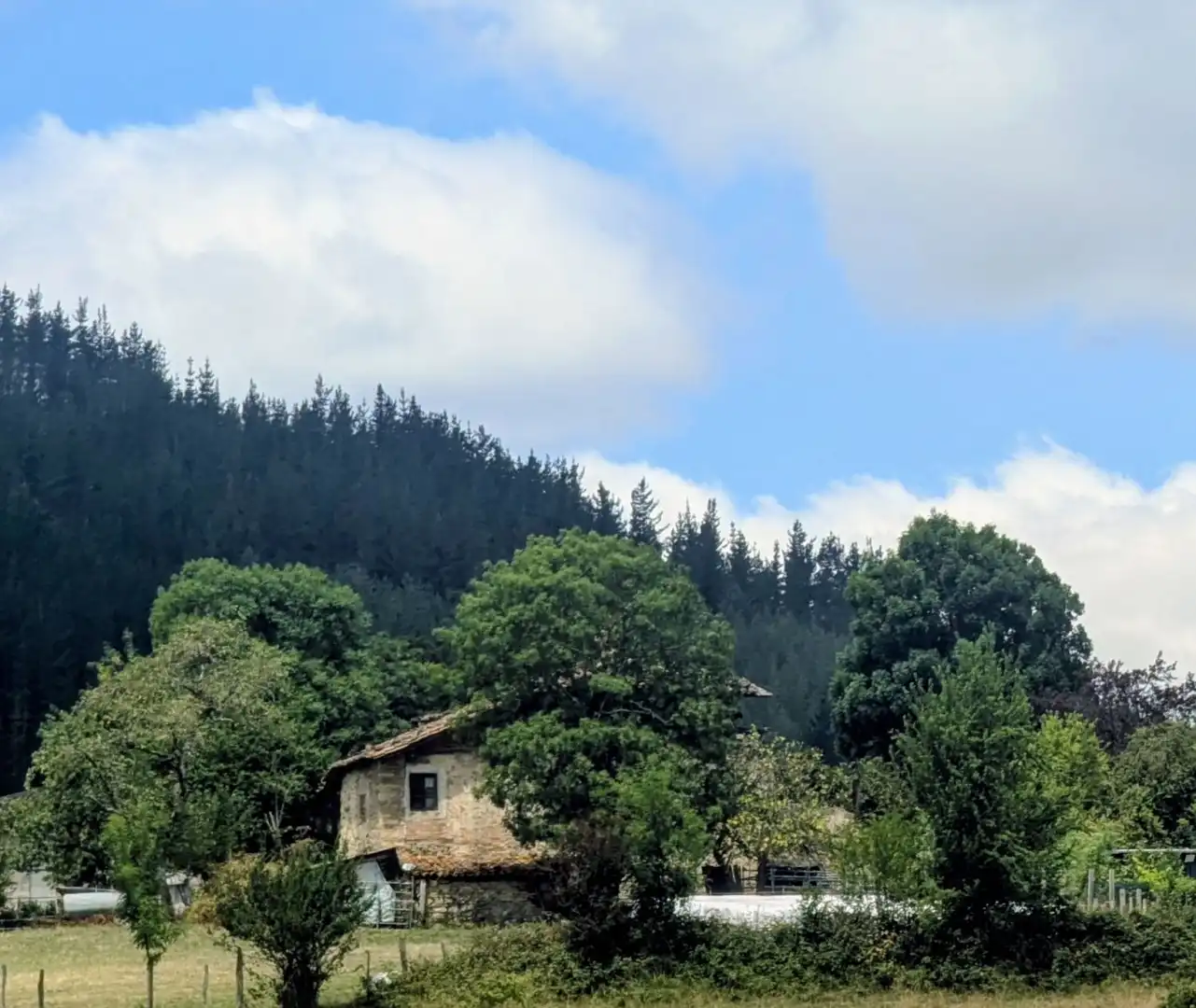 Terreny residencial en venda a Artziniega, imagen 3