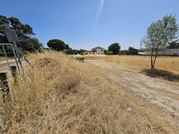 Terreno rustico in vendita a LOS FRUTALES