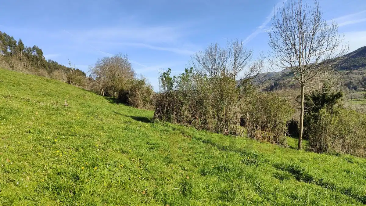 Terreni e lotti in vendita a Villegar, imagen 31