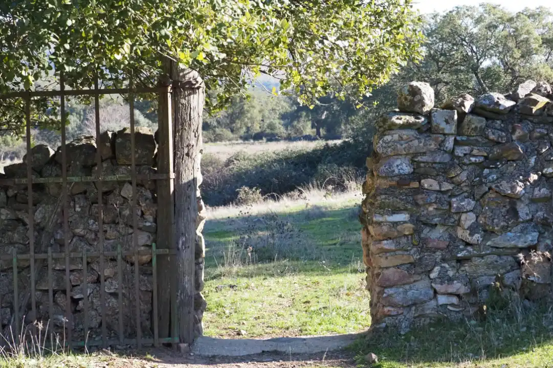 Jardín de Terreno en venta en Puerto de Béjar