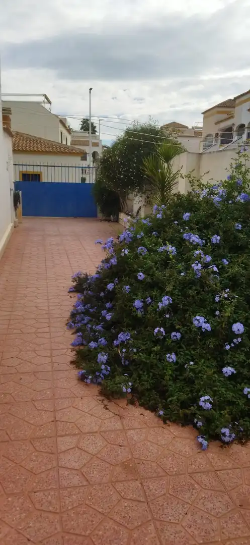 Adossat amb terrassa en venda a Urbanizacion Don Pueblo, imagen 27