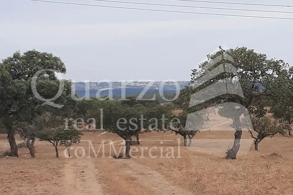 Finca rústica en venda en Herrera de Alcántara
