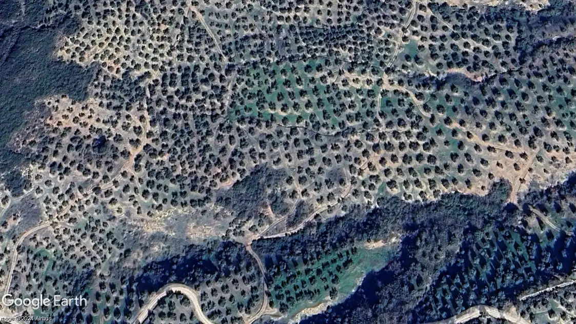 Terreni e lotti in vendita a Martos, imagen 3