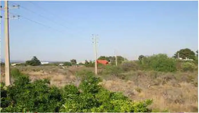 Rural land for sale in Ptda Tis, La Plana Baixa, imagen 6