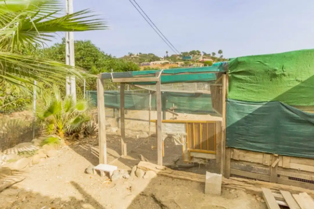 Terreno en venta en Centro Histórico