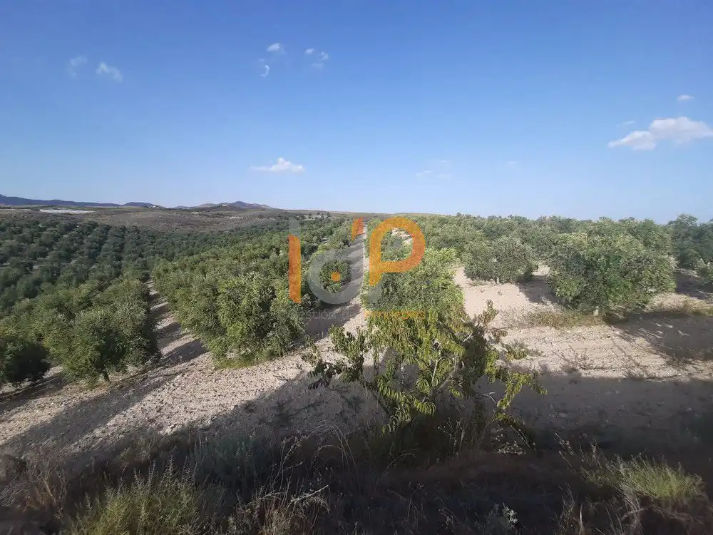 Maison à vendre à Sorbas, imagen 17