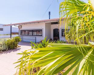 Vista exterior de Casa o xalet en venda en Palos de la Frontera amb Aire condicionat, Jardí privat i Terrassa