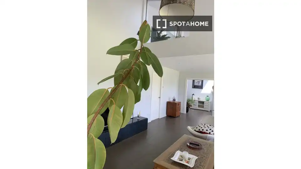 Exterior view of Apartments for share in Vega de Liébana  with Air Conditioner, Terrace and Furnished