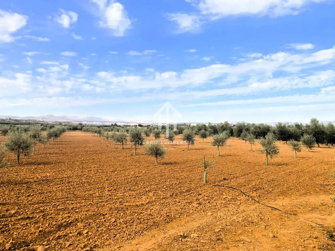 Rural land for sale in Moraleda de Zafayona, imagen 8