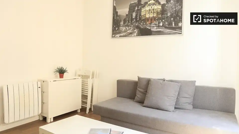 Piso con terraza en alquiler en Centro, imagen 4