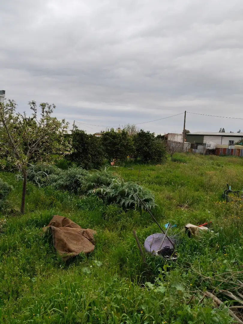 Terreno rustico in vendita a Alcalá del Río, imagen 3