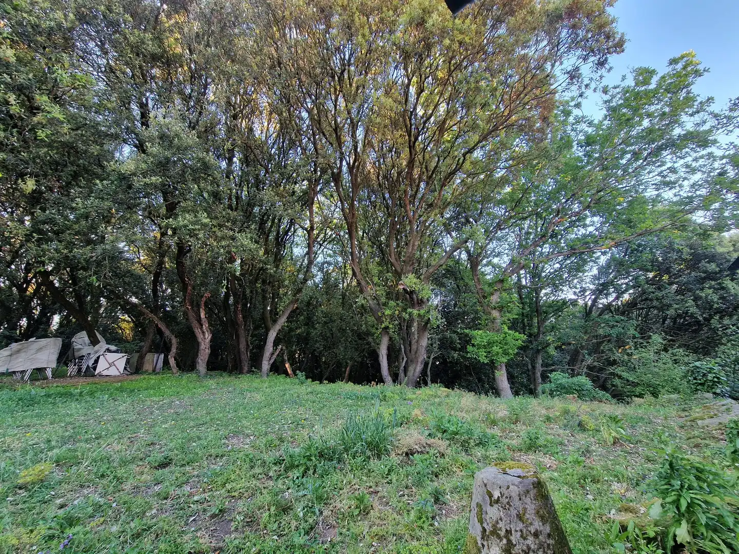 Xalet amb jardí en venda a Avenida Menéndez Pelayo, imagen 8
