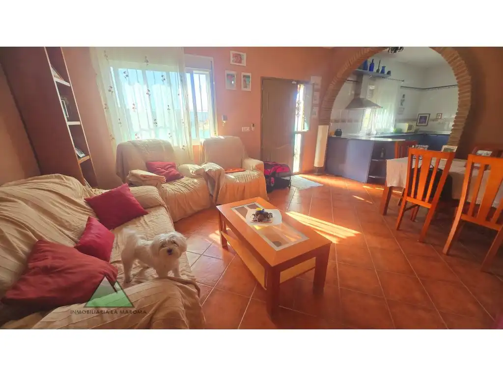 Sala d'estar de Casa o xalet en venda en Alcaucín amb Jardí privat i Terrassa