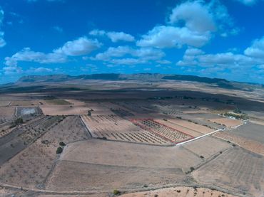 Terreno rustico in vendita a Yecla