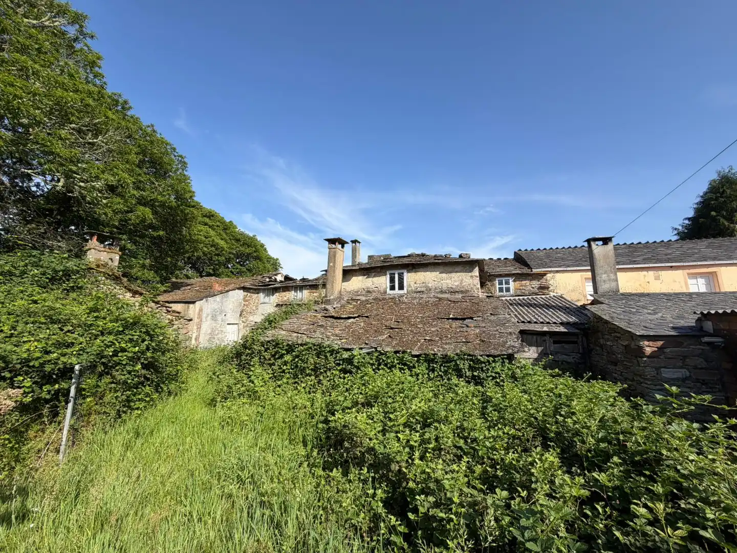 Vista exterior de Finca rústica en venta en Xermade con Jardín privado