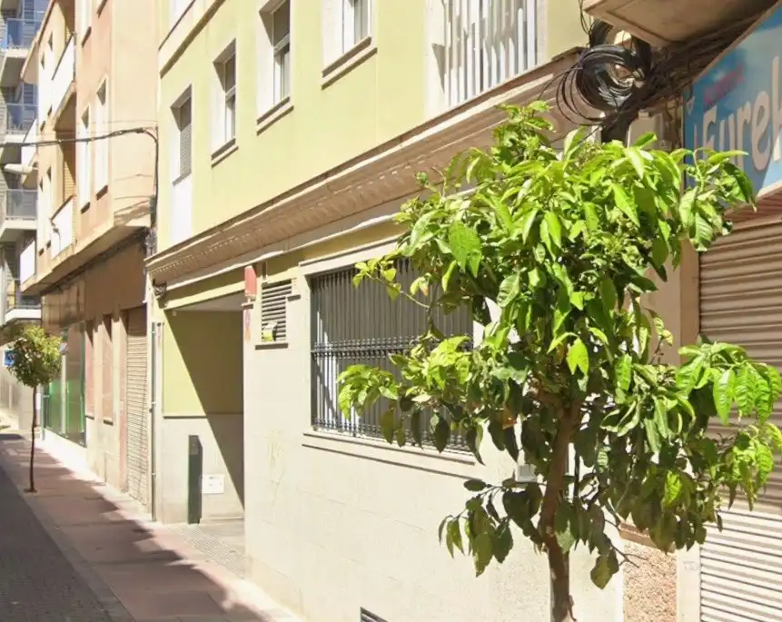 Exterior view of Houses for sale in Elche / Elx