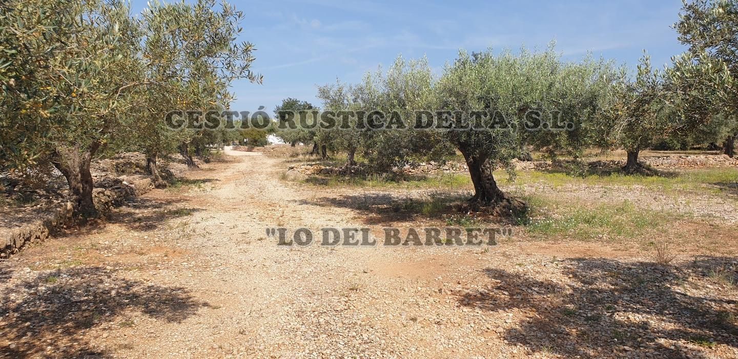 Terreno en venta en Camarles