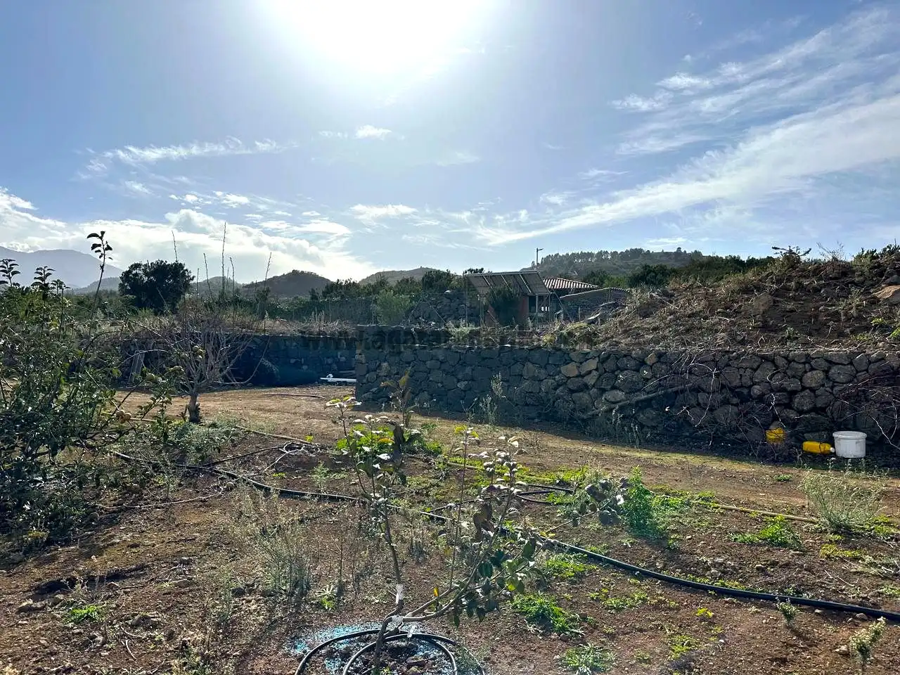 Finca rústica en venda en El Tanque