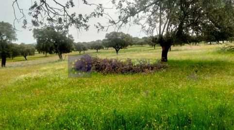 Foto 3 de Casa o chalet en venta en Malpartida de Plasencia, Cáceres