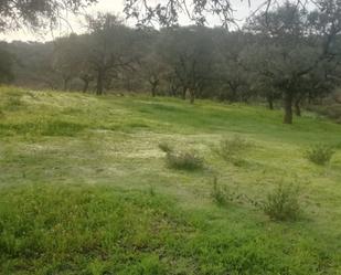 Finca rústica en venda en El Ronquillo amb Terrassa