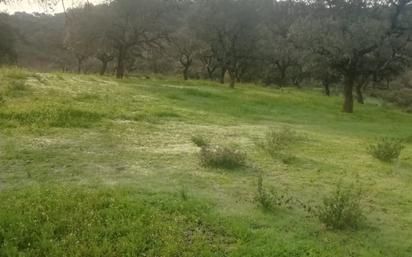 Finca rústica en venda en El Ronquillo amb Terrassa